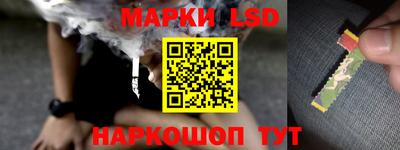 a pvp Камышлов