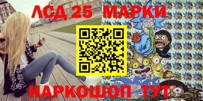 a pvp Камышлов