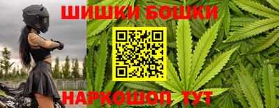a pvp Камышлов