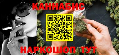 a pvp Камышлов