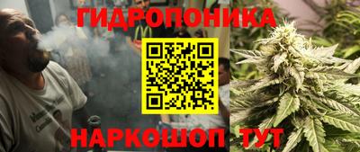 прущие крисы Кандалакша