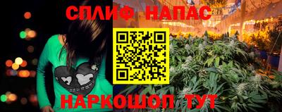 a pvp Камышлов
