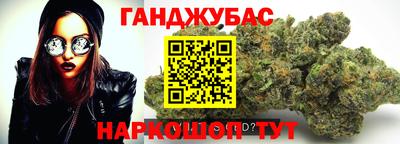 a pvp Камышлов