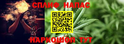 a pvp Камышлов