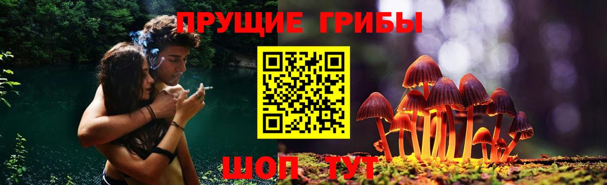 как найти   Псилоцибиновые грибы GOLDEN TEACHER  Вход с VPN  Галлюциногенные грибы Psilocybine cubensis  Гудермес 